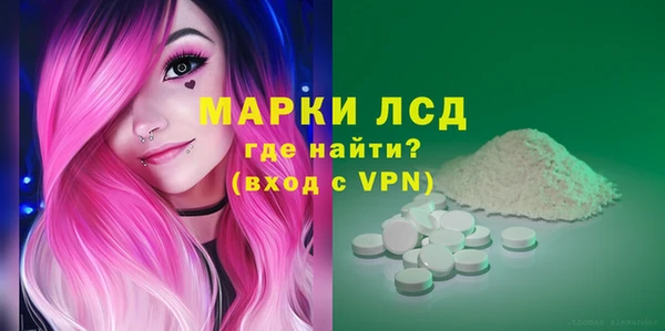 стафф Алзамай