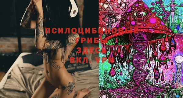 герыч Алексеевка
