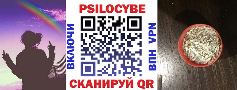 Псилоцибиновые грибы GOLDEN TEACHER  ссылка на мегу tor  Ачинск 